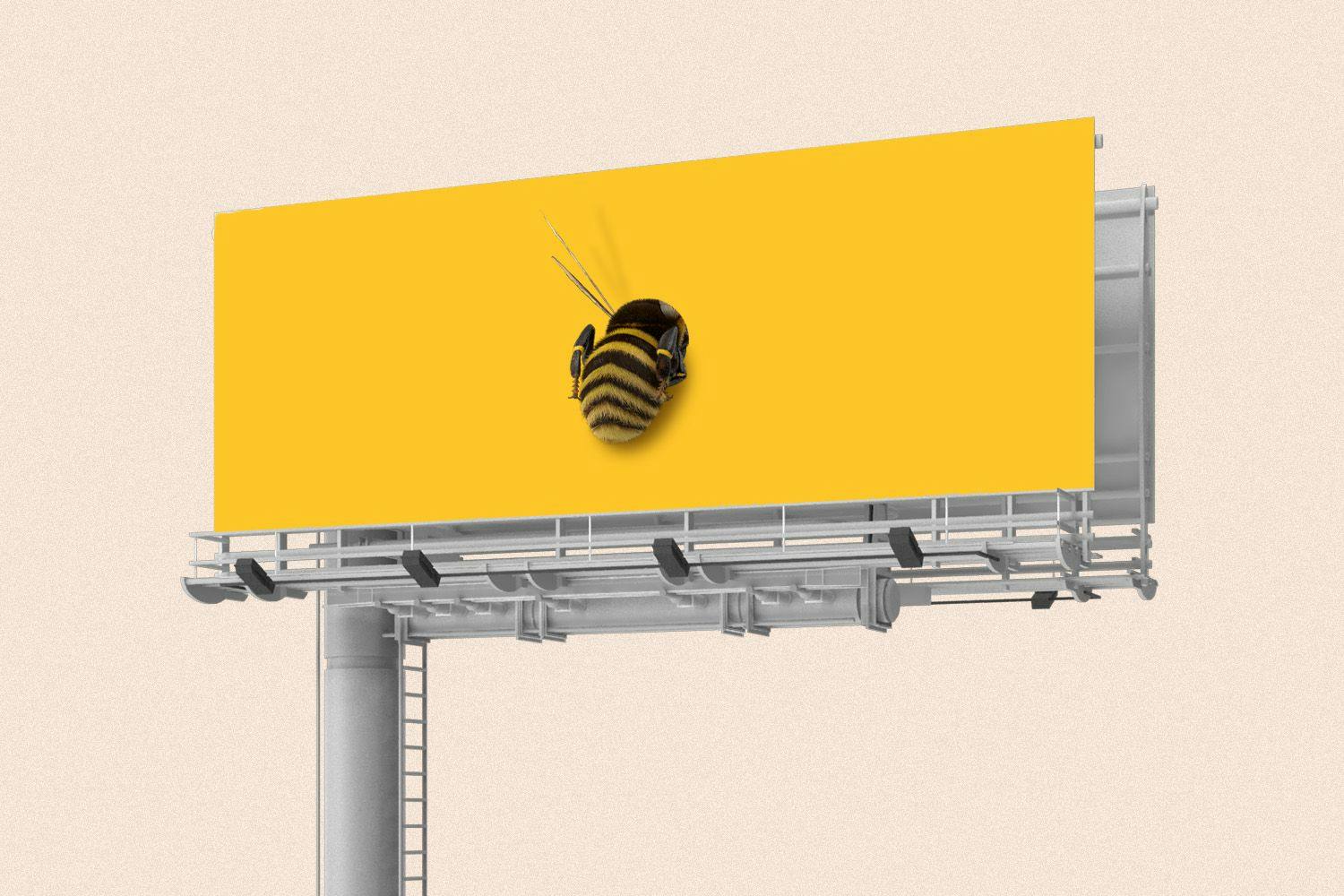 Large bumble bee stuck on yellow billboard